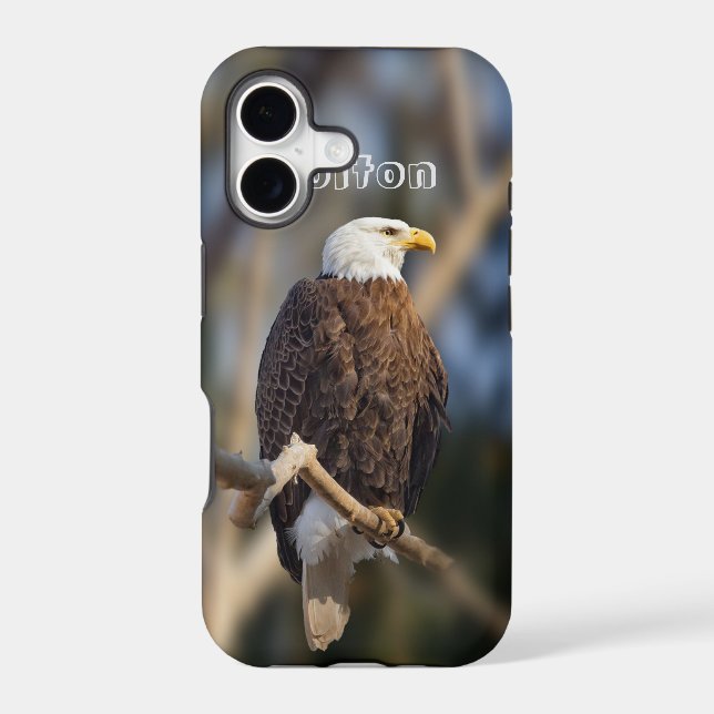 Bald Eagle (Back)
