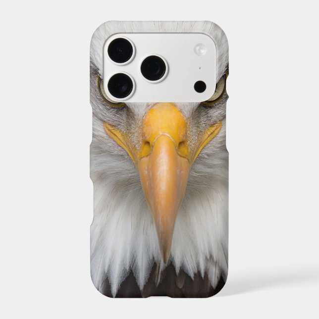 Bald Eagle (Back)