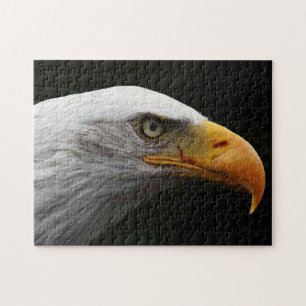 Bald Eagle 11x14 252pc jpa Jigsaw Puzzle