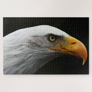 Bald Eagle 20x30 1014pc jpcn Jigsaw Puzzle