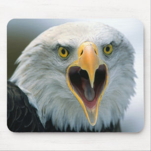 Bald Eagle #2-Mousepad Mouse Mat