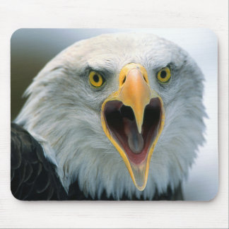 Bald Eagle #2-Mousepad Mouse Mat