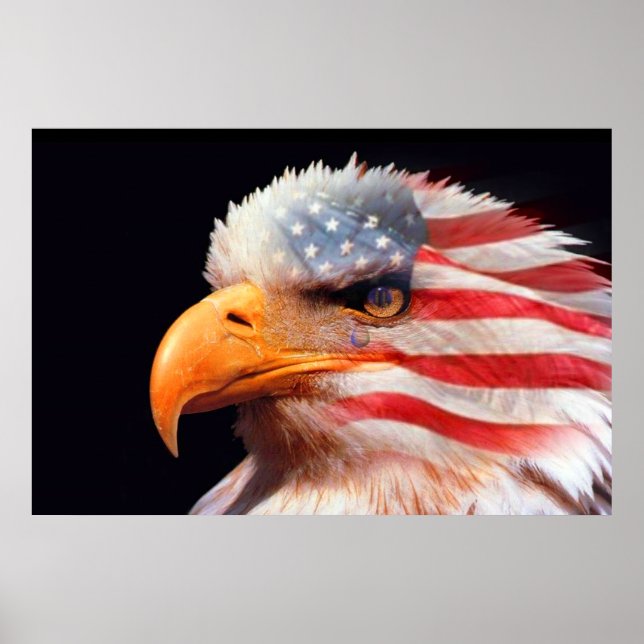 Bald Eagle 4th Of July poster 13 (Front)