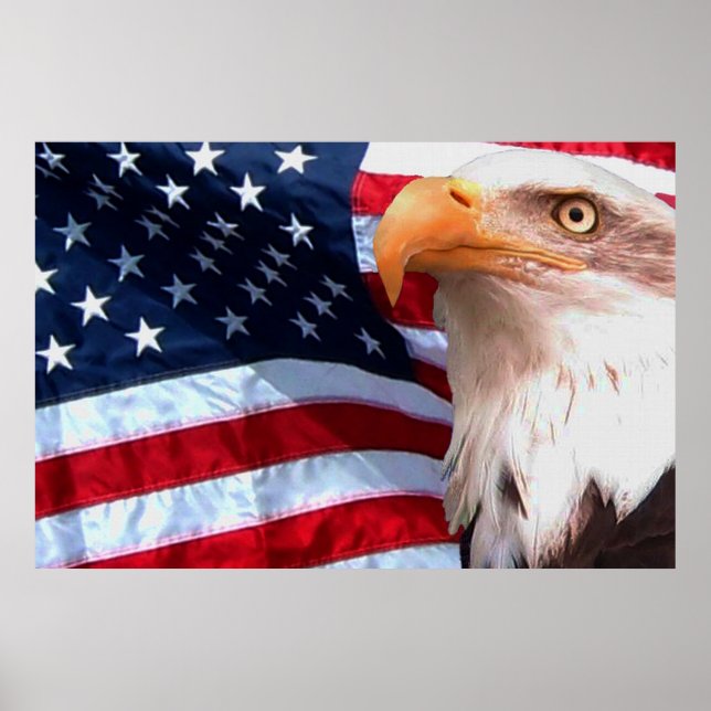 Bald Eagle 4th Of July poster 8 (Front)