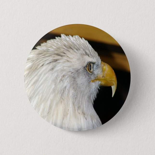 Bald Eagle 6 Cm Round Badge (Front)