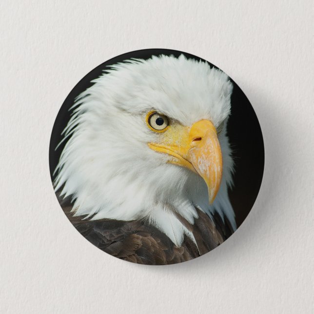 Bald Eagle 6 Cm Round Badge (Front)