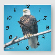 Bald Eagle Acrylic Wall Clock