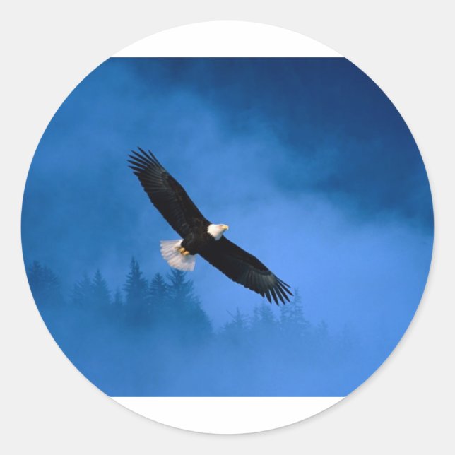 Bald-Eagle-Alaska Classic Round Sticker (Front)
