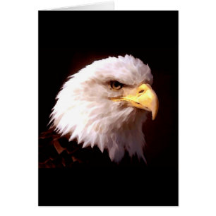 Bald Eagle American Eagle