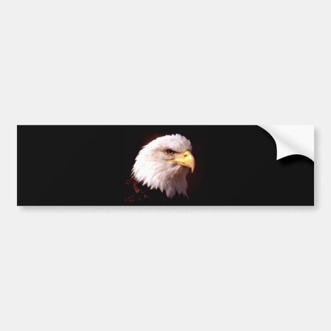 Bald Eagle American Eagle Bumper Sticker (Front)