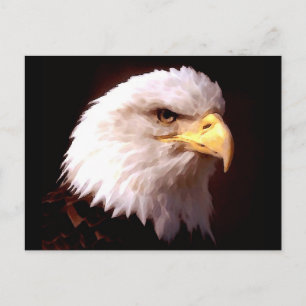 Bald Eagle American Eagle Postcard