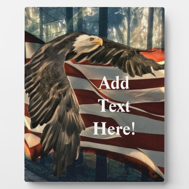 Bald Eagle American Flag Country Road Plaque (Front)