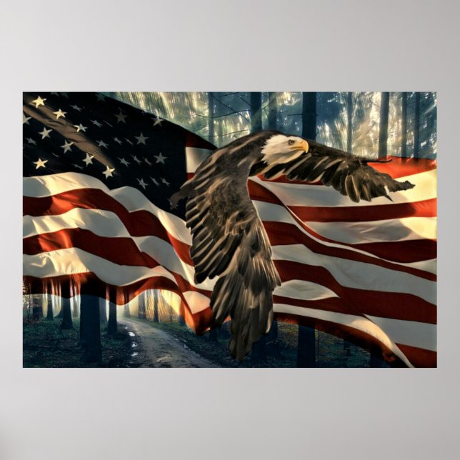 Bald Eagle American Flag Country Road Poster (Front)