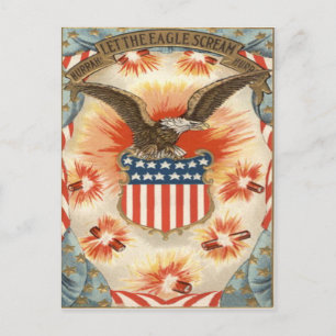 Bald Eagle American Flag Shield Fireworks Postcard
