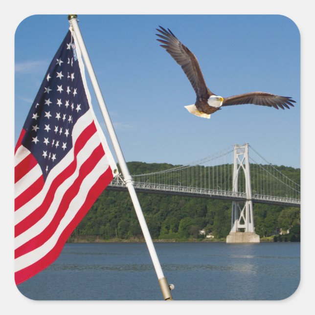 Bald Eagle (American Pride) Square Sticker (Front)