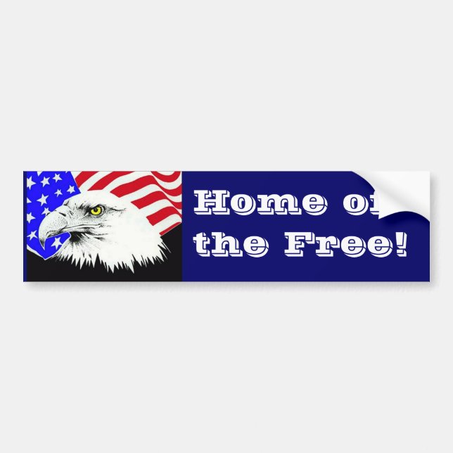 Bald Eagle and American Flag Bumper Sticker (Front)