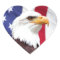 Bald Eagle and American Flag