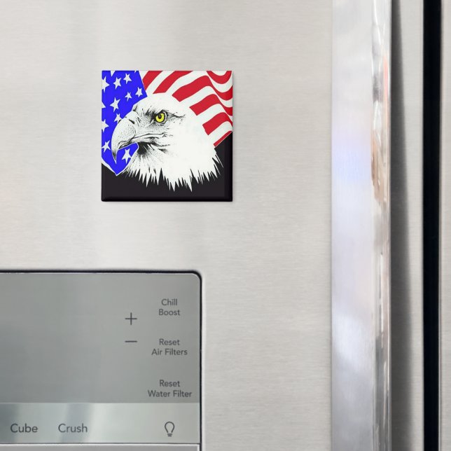 Bald Eagle and American Flag Magnet (In Situ (Fridge))
