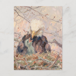 Bald Eagle and Eaglet Nature Art Custom message Postcard