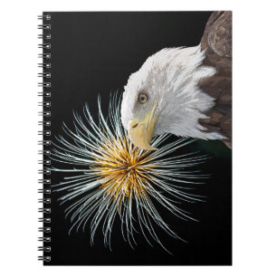 Bald Eagle and Fireworks Notebook