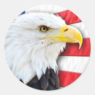 Bald Eagle and Flag Classic Round Sticker