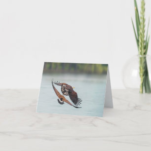 Bald Eagle and Goose Wildlife Blank All Occasion Holiday Card