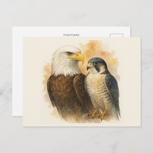 Bald Eagle and Peregrine Falcon Wildlife Art Postcard (Front/Back)