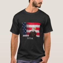 Bald Eagle And The American Flag
