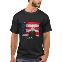Bald Eagle And The American Flag