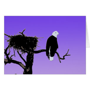 Bald Eagle at Sunset - Original Wildlife Art