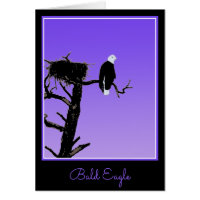 Bald Eagle at Sunset  - Original Wildlife Art