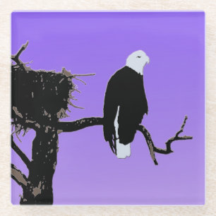 Bald Eagle at Sunset - Original Wildlife Art Glass Coaster