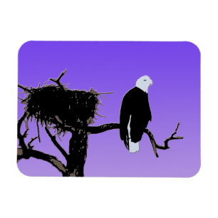 Bald Eagle at Sunset - Original Wildlife Art Magnet