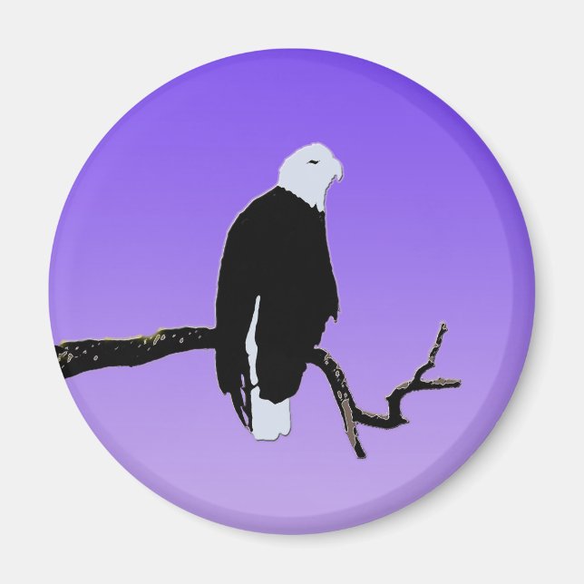 Bald Eagle at Sunset  - Original Wildlife Art Magnet (Front)