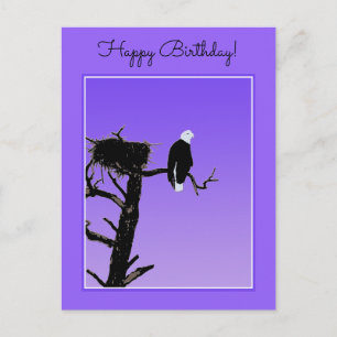 Bald Eagle at Sunset  - Original Wildlife Art Postcard