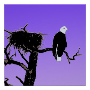 Bald Eagle at Sunset - Original Wildlife Art Poster