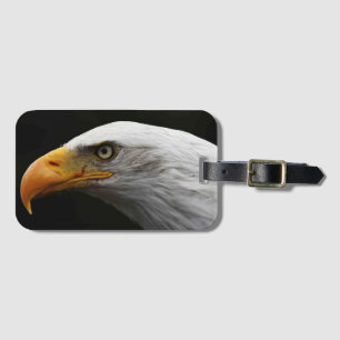 Bald Eagle bc ltm Luggage Tag
