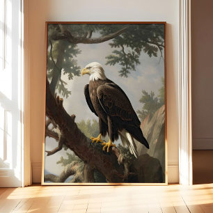 Bald Eagle Bird Poster Art Print, Animal Retro Art