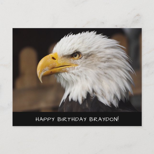 Bald Eagle Birthday Postcard (Front)