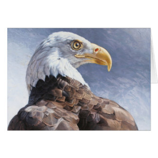 Bald Eagle Blank Card by Andrew Denman