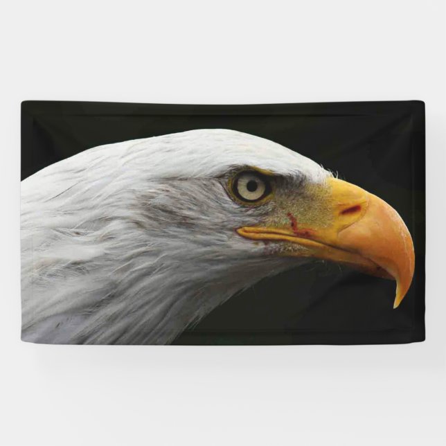 Bald Eagle bnrcna Banner (Horizontal)