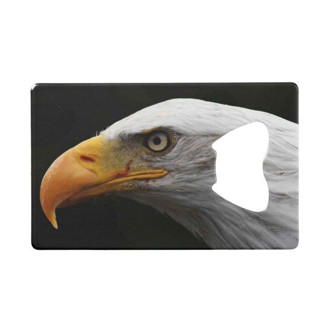 Bald Eagle bocnm (Front (Horizontal))