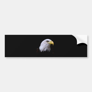 Bald Eagle Bumper Sticker