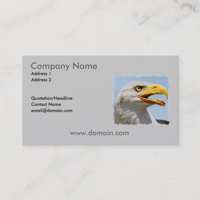 Bald Eagle Business Card (Front)