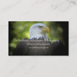 Bald Eagle business card