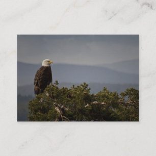 Bald Eagle - Business Card