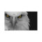 bald eagle business card