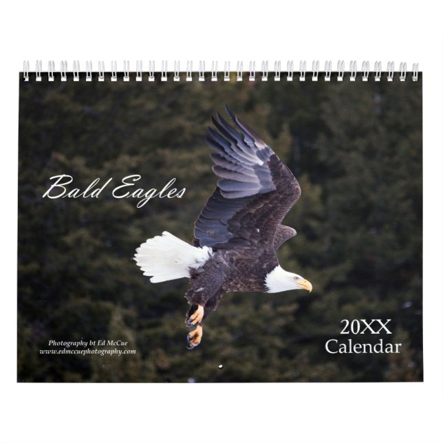 Bald Eagle Calendar (Cover)