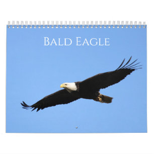 Bald Eagle Calendar