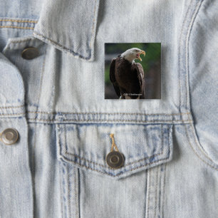 Bald Eagle Calling 15 Cm Square Badge